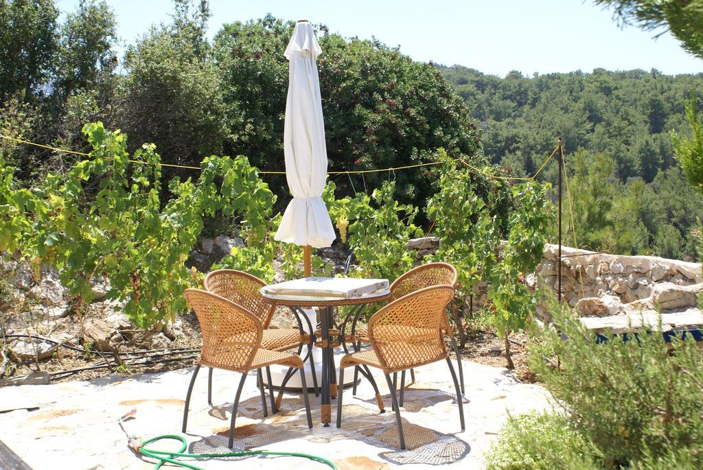 O Ioannis Villa Kritinia Exterior photo