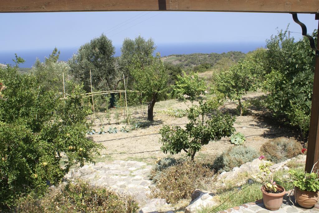 O Ioannis Villa Kritinia Exterior photo